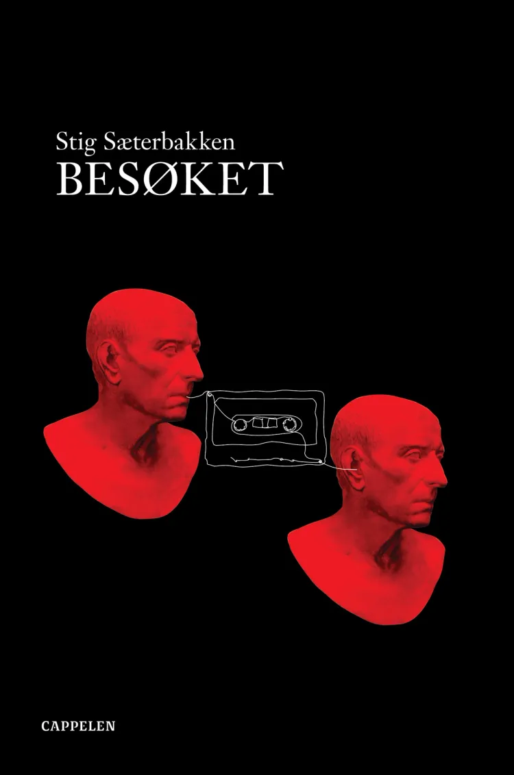 Omslag Besøket av Stig Sæterbakken (Innbundet)