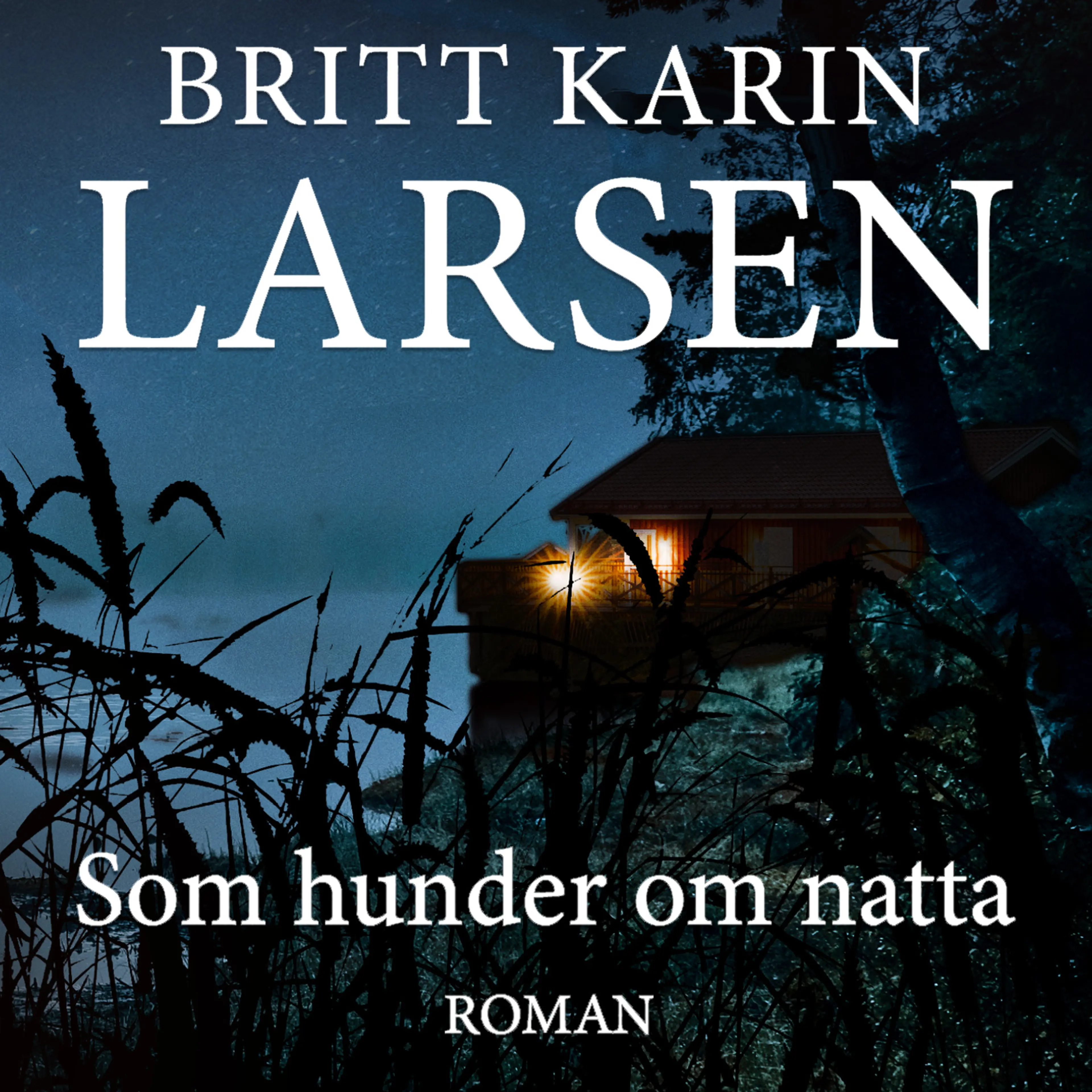 Omslag Som hunder om natta av Britt Karin Larsen (Lydbok)