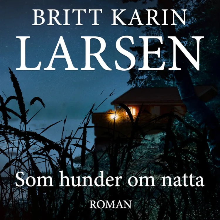 Omslag Som hunder om natta av Britt Karin Larsen (Lydbok)
