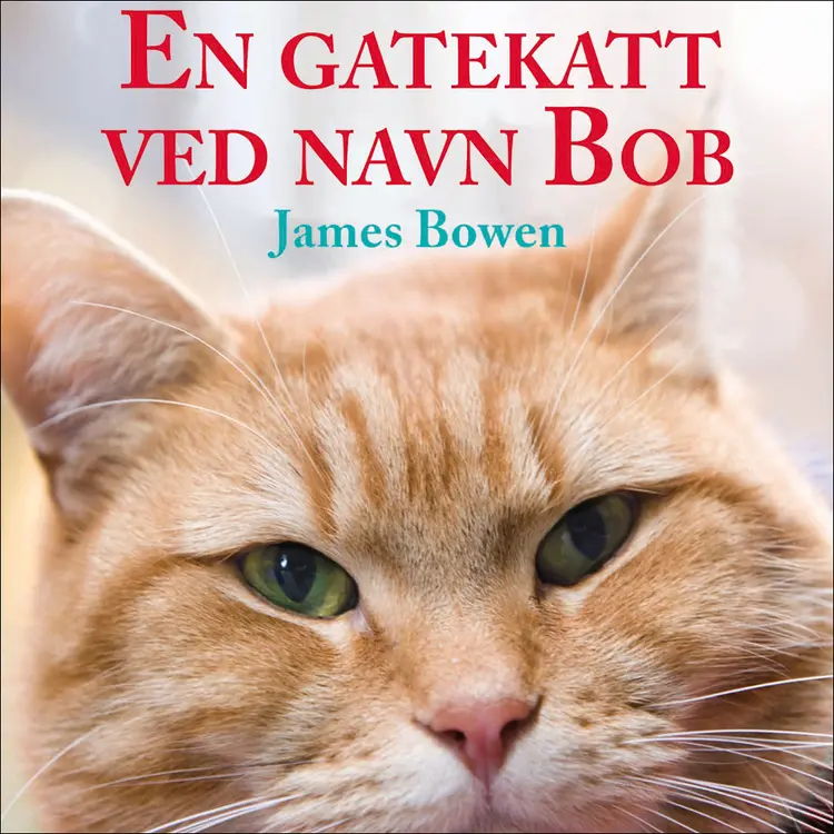 Omslag En gatekatt ved navn Bob av James Bowen (Lydbok)