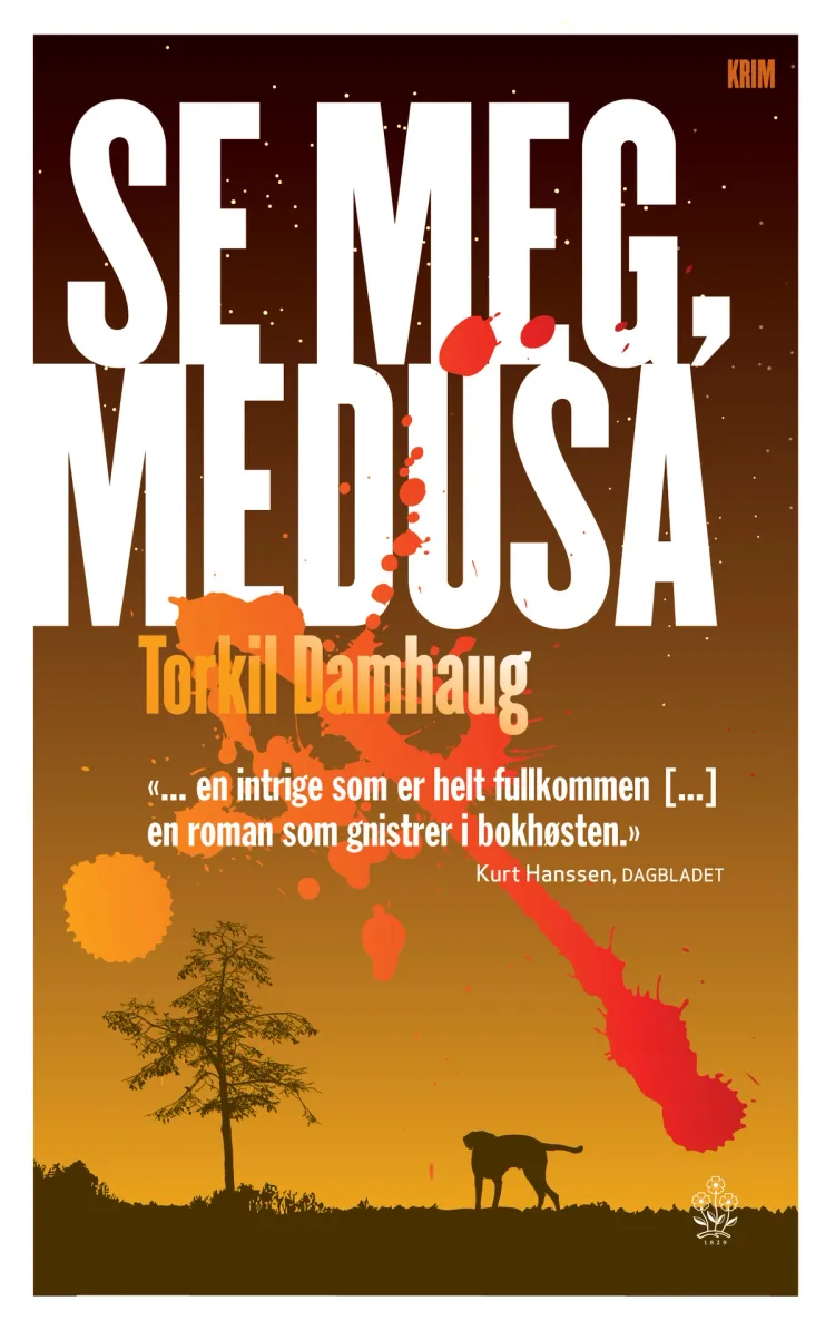 Omslag Se meg, Medusa av Torkil Damhaug (Ebok)