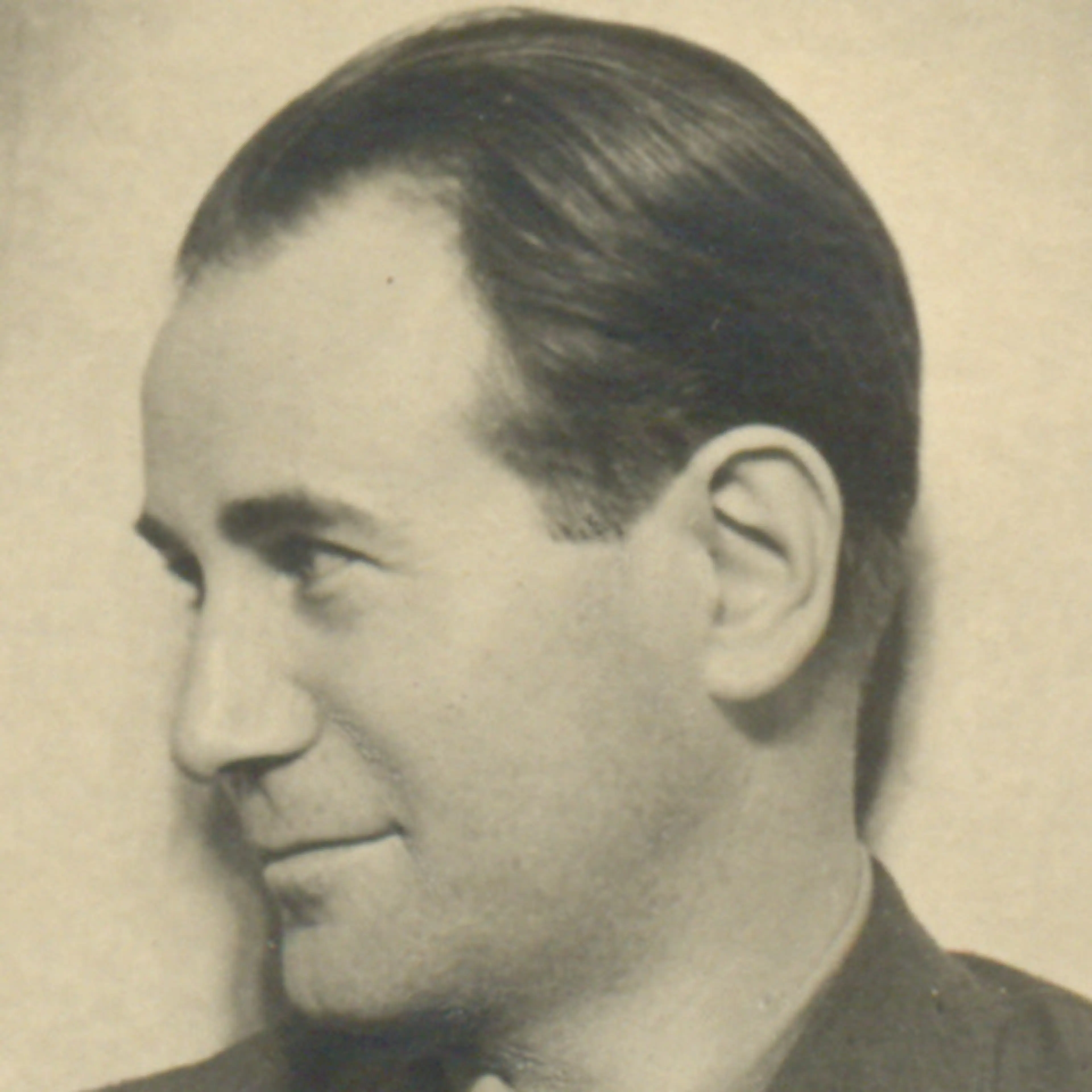 Bidragsyter Camil Petrescu