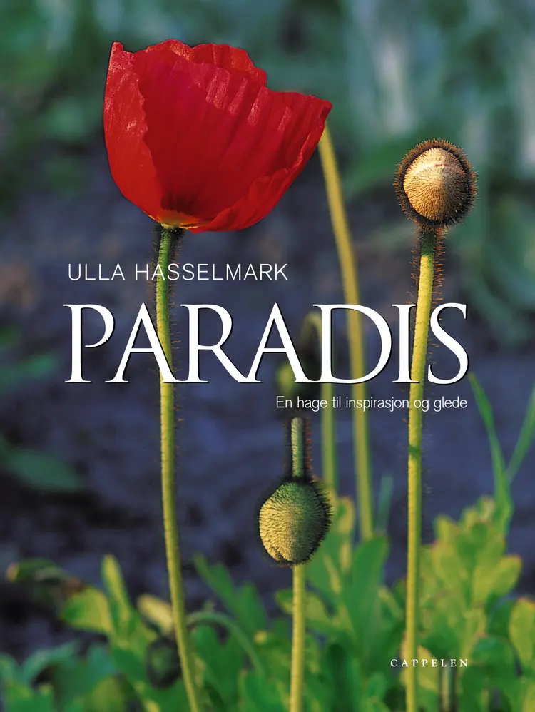 Omslag Paradis av C. Hassel (Innbundet)