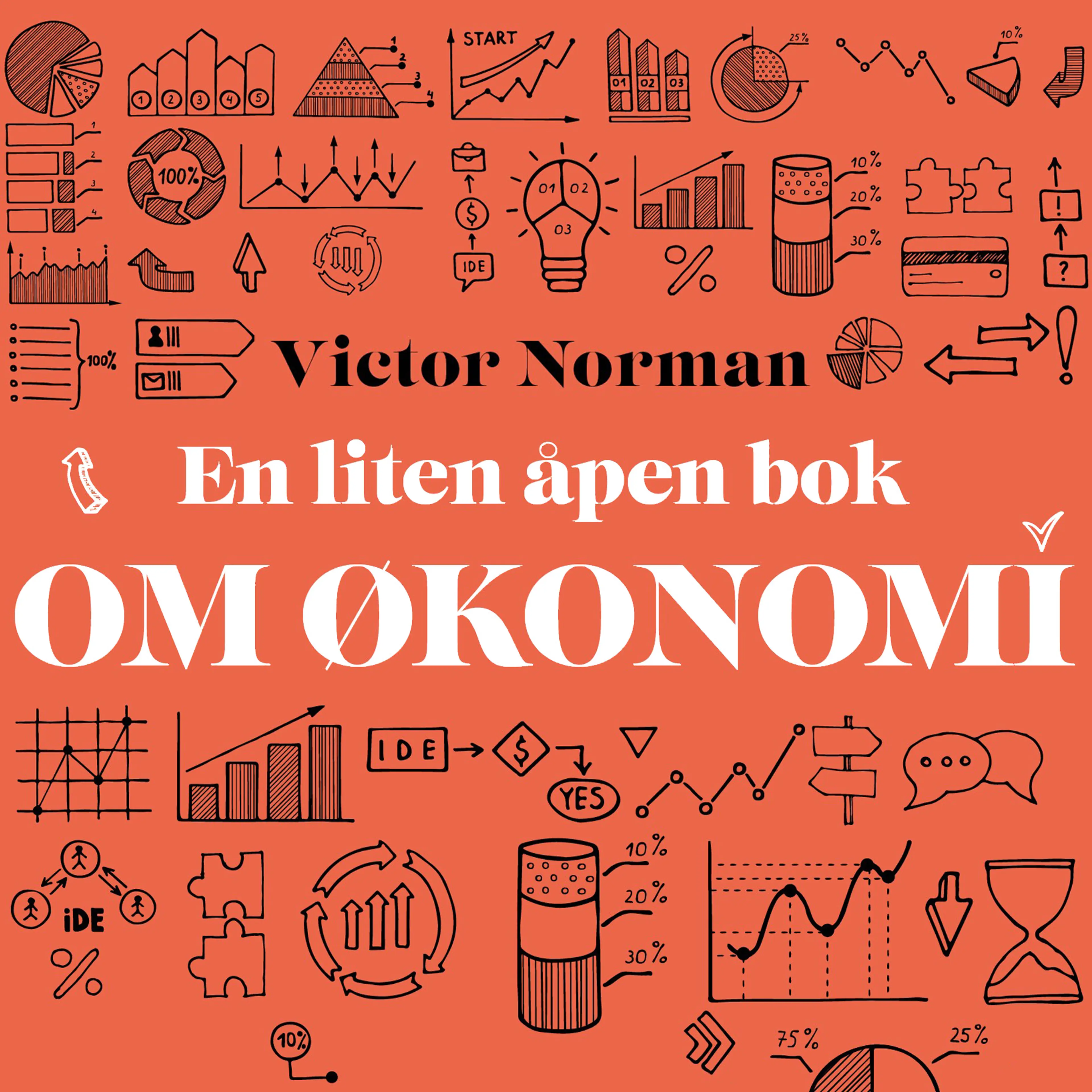 Omslag En liten åpen bok om økonomi av Victor Norman (Lydbok)