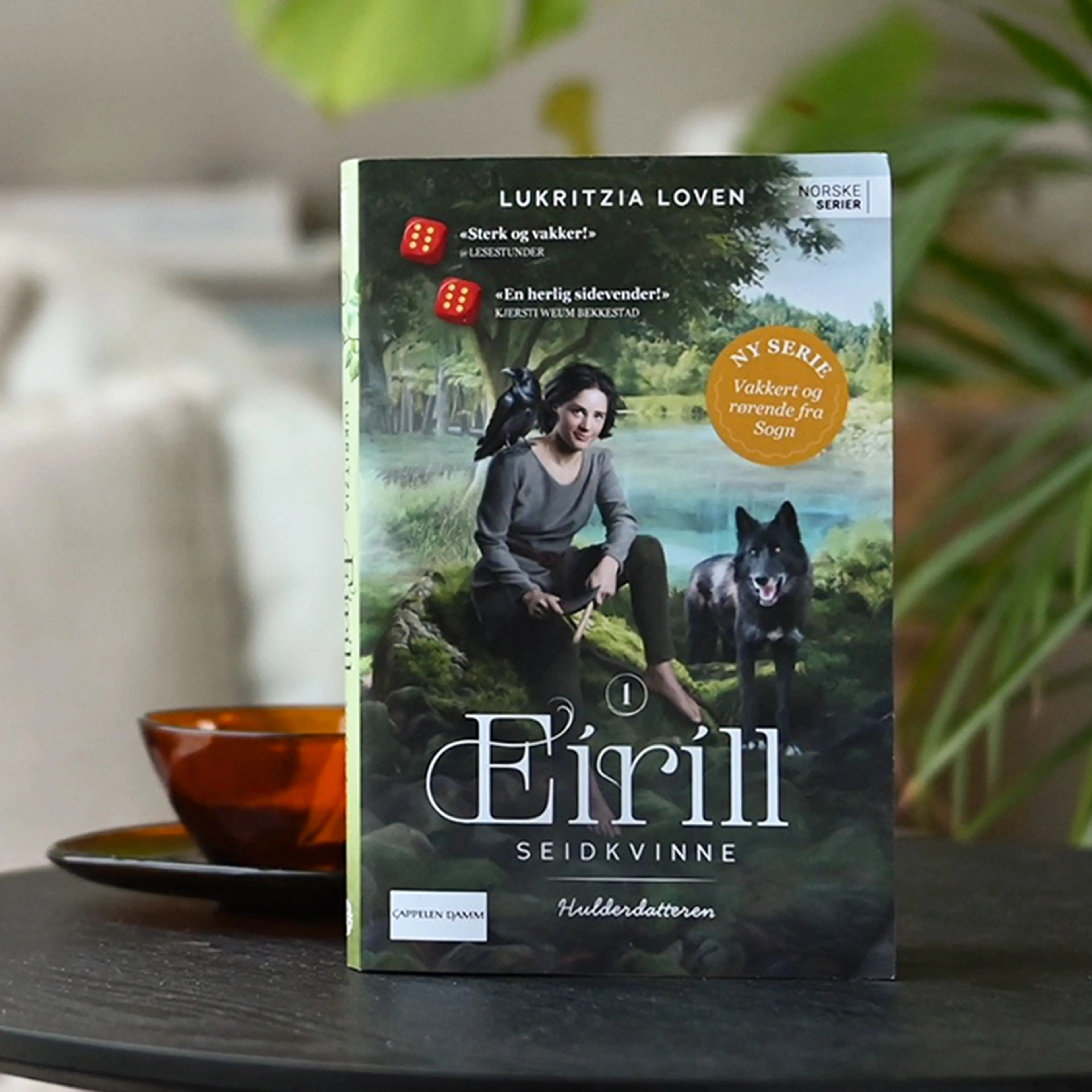 Foto av første bok i serien Eirill seidkvinne