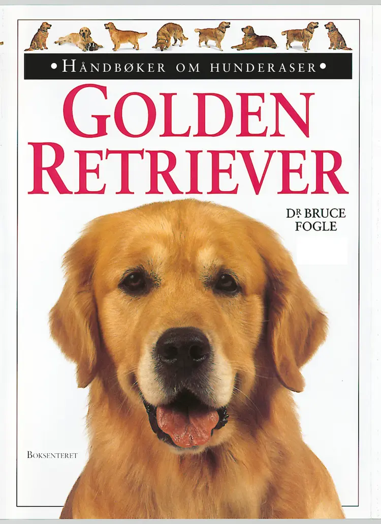 Omslag Golden retriever av Bruce Fogle (Innbundet)