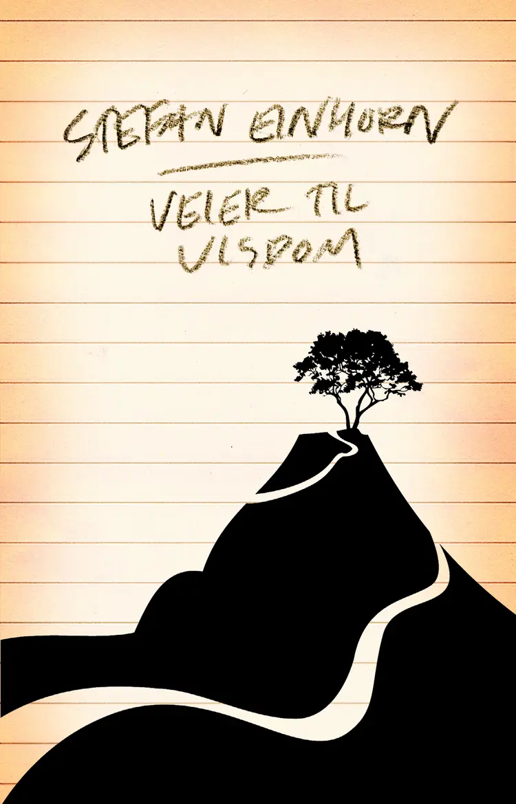 Omslag Veier til visdom av Stefan Einhorn (Innbundet)