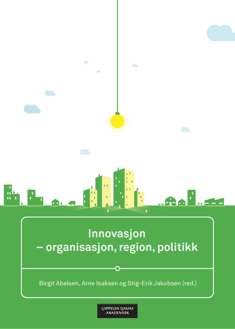 Omslag Innovasjon - organisasjon, region, politikk av Birgit Abelsen, Arne Isaksen og Stig-Erik Jakobsen (red.) (Heftet)