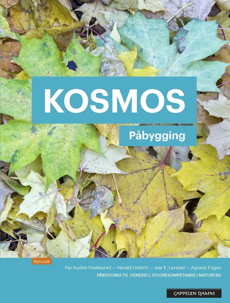 Omslag Kosmos Påbygging Lærebok (2018) av Per Audun Heskestad, Ivar Karsten Lerstad, Harald Otto Liebich og Agnete Engan (Heftet)