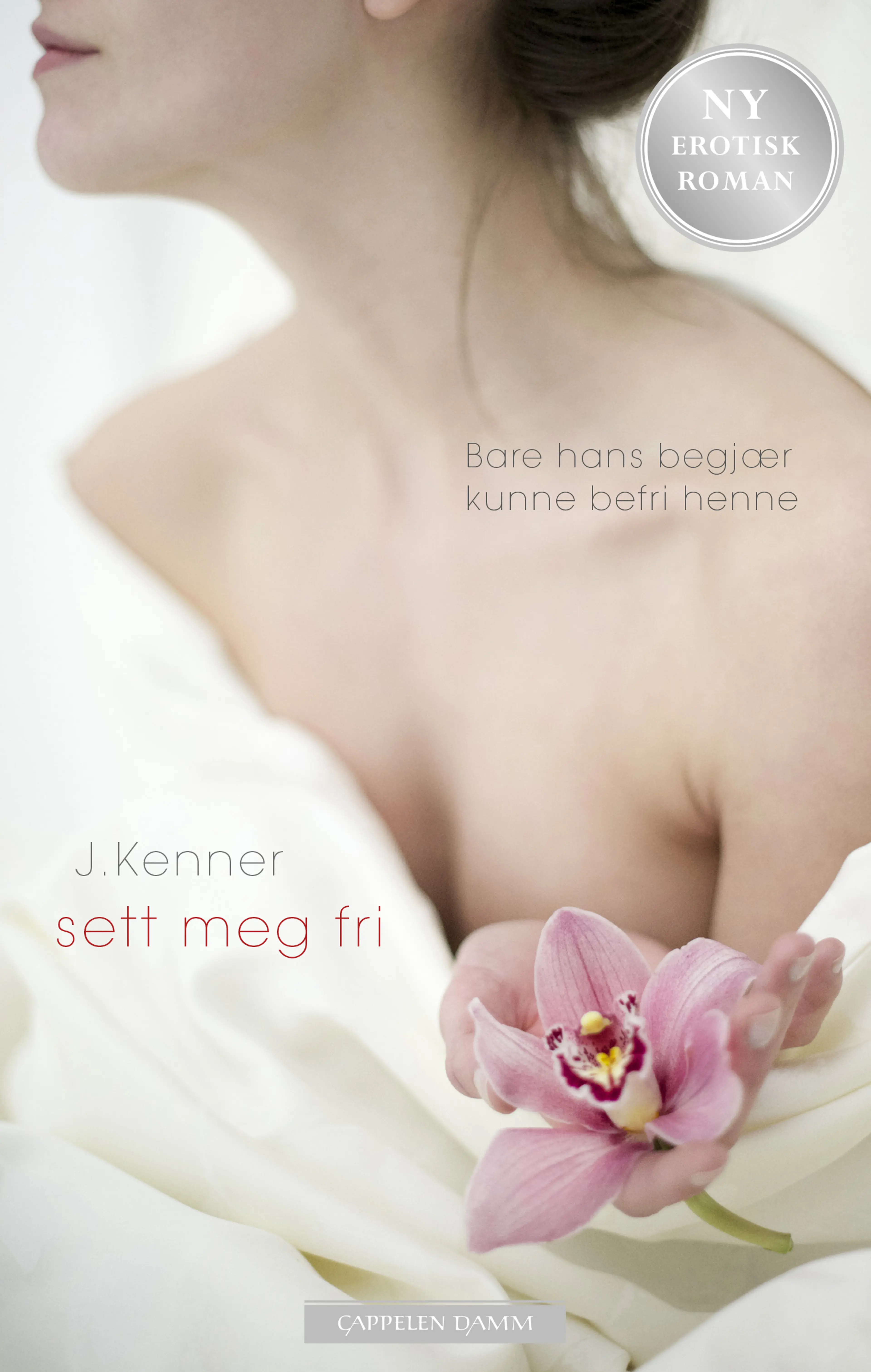 Omslag Sett meg fri av Julie Kenner (Ebok)