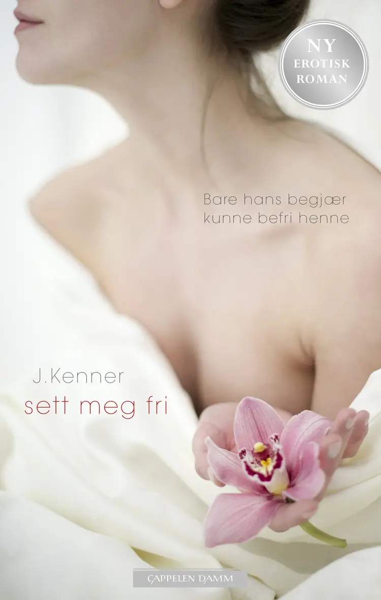Omslag Sett meg fri av Julie Kenner (Ebok)