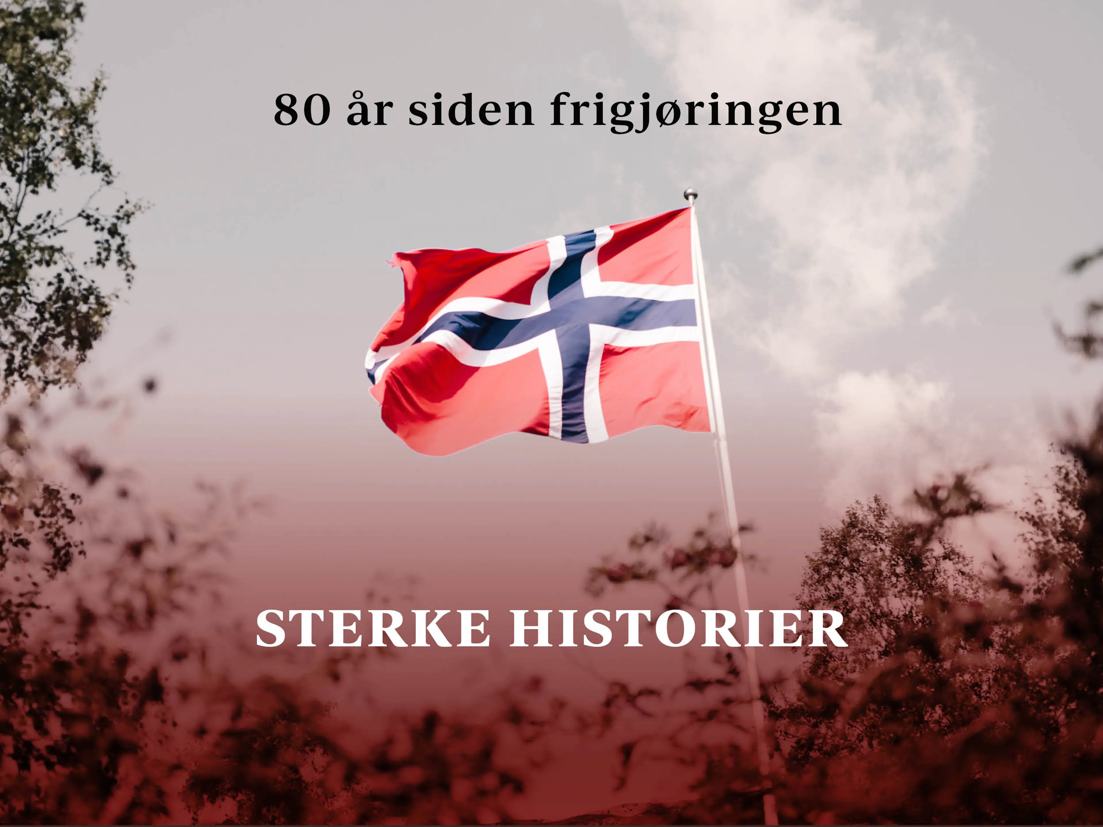 Norsk flagg som vaier på en bakgrunn av himmel og trær