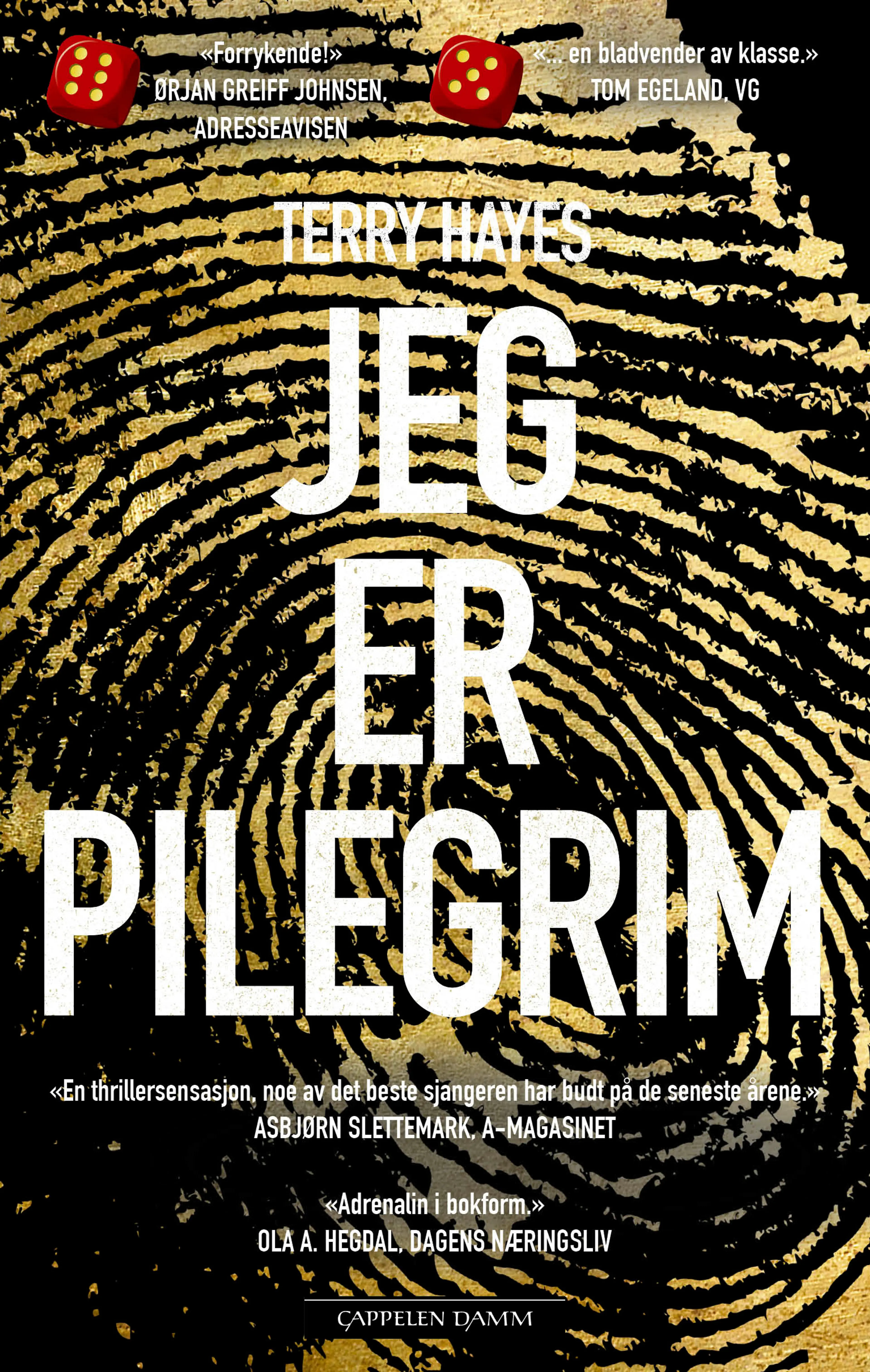 Omslag Jeg er Pilegrim av Terry Hayes (Ebok)