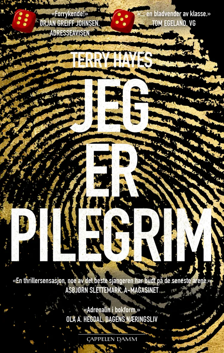 Omslag Jeg er Pilegrim av Terry Hayes (Ebok)