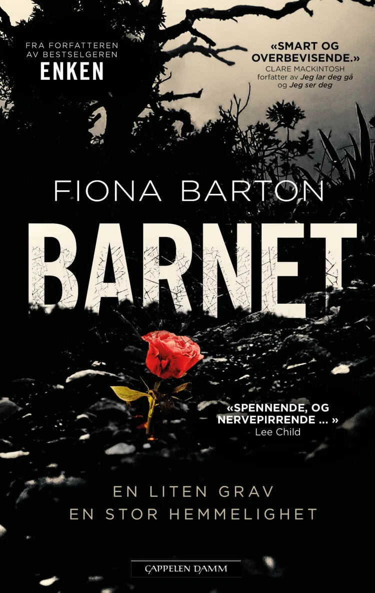 Omslag Barnet av Fiona Barton (Innbundet)