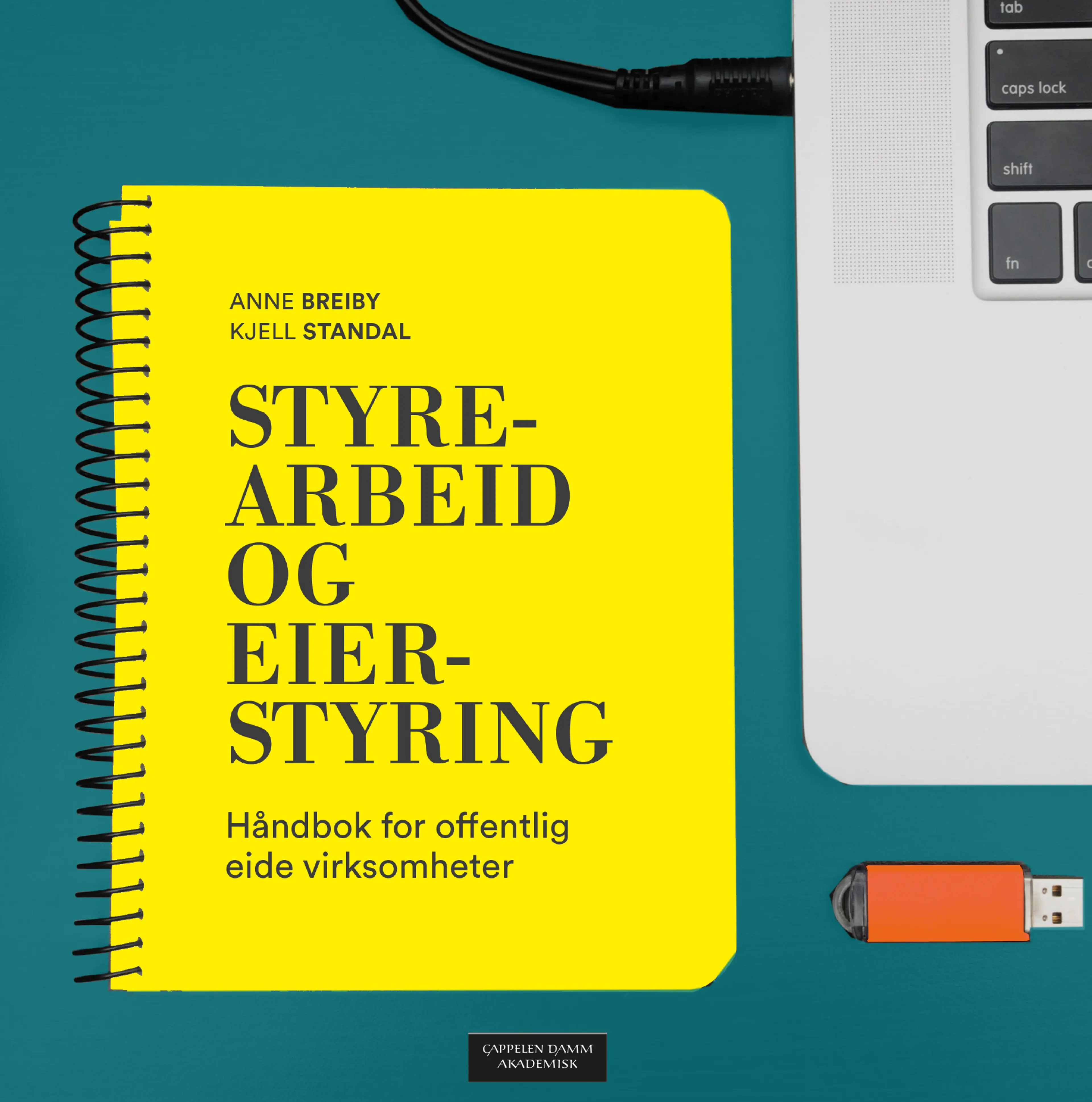 Omslag Styrearbeid og eierstyring av Anne Breiby og Kjell Standal (Ebok)