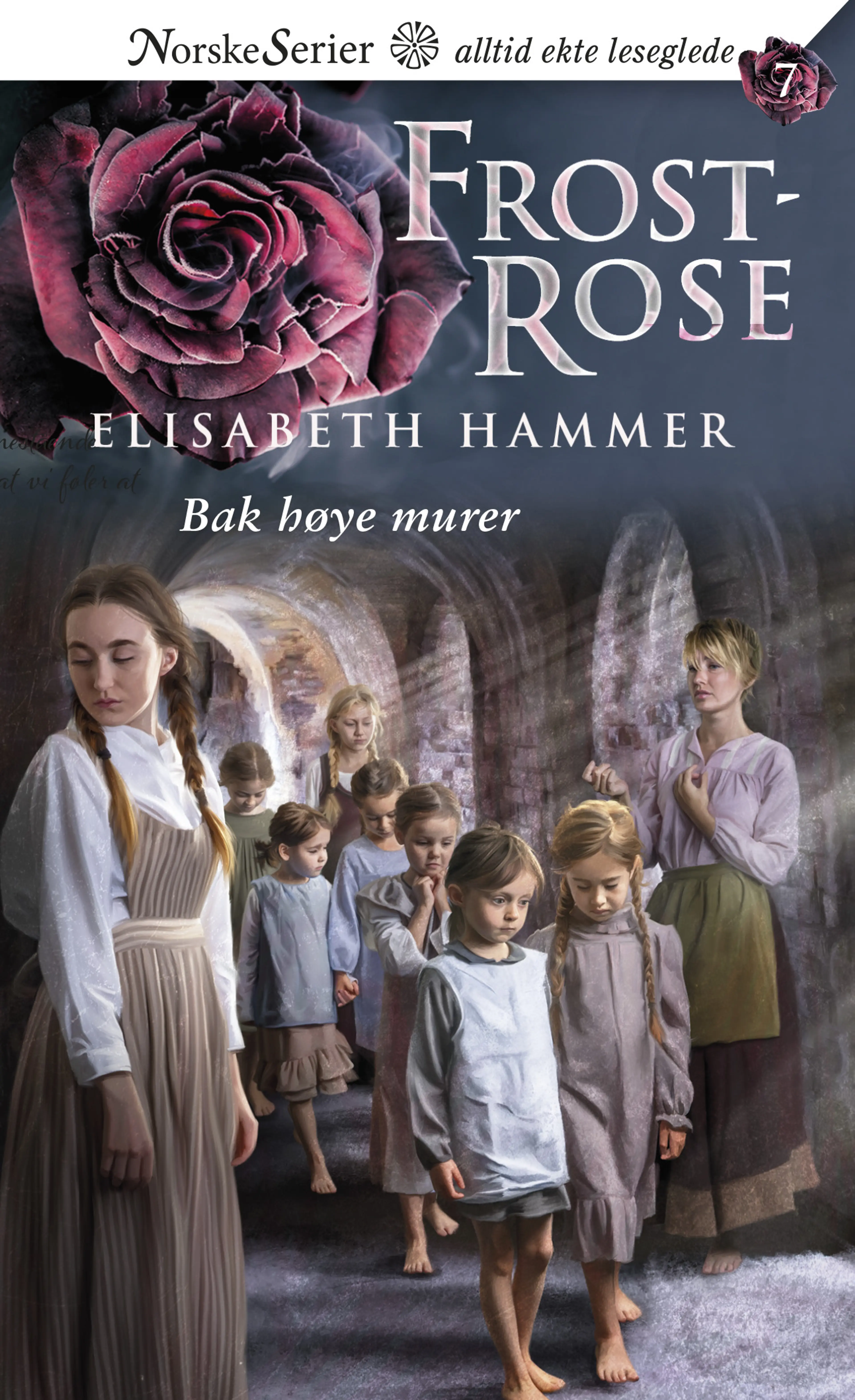 Omslag Bak høye murer av Elisabeth Hammer (Ebok)