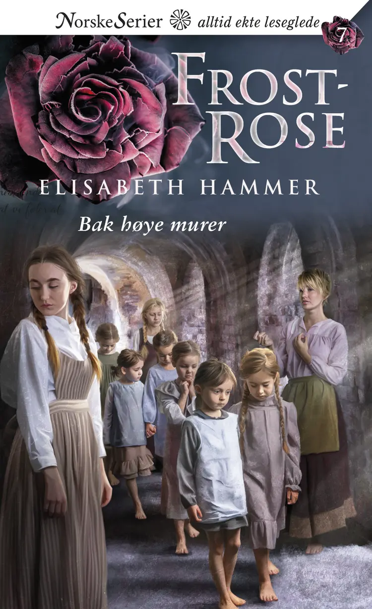 Omslag Bak høye murer av Elisabeth Hammer (Ebok)