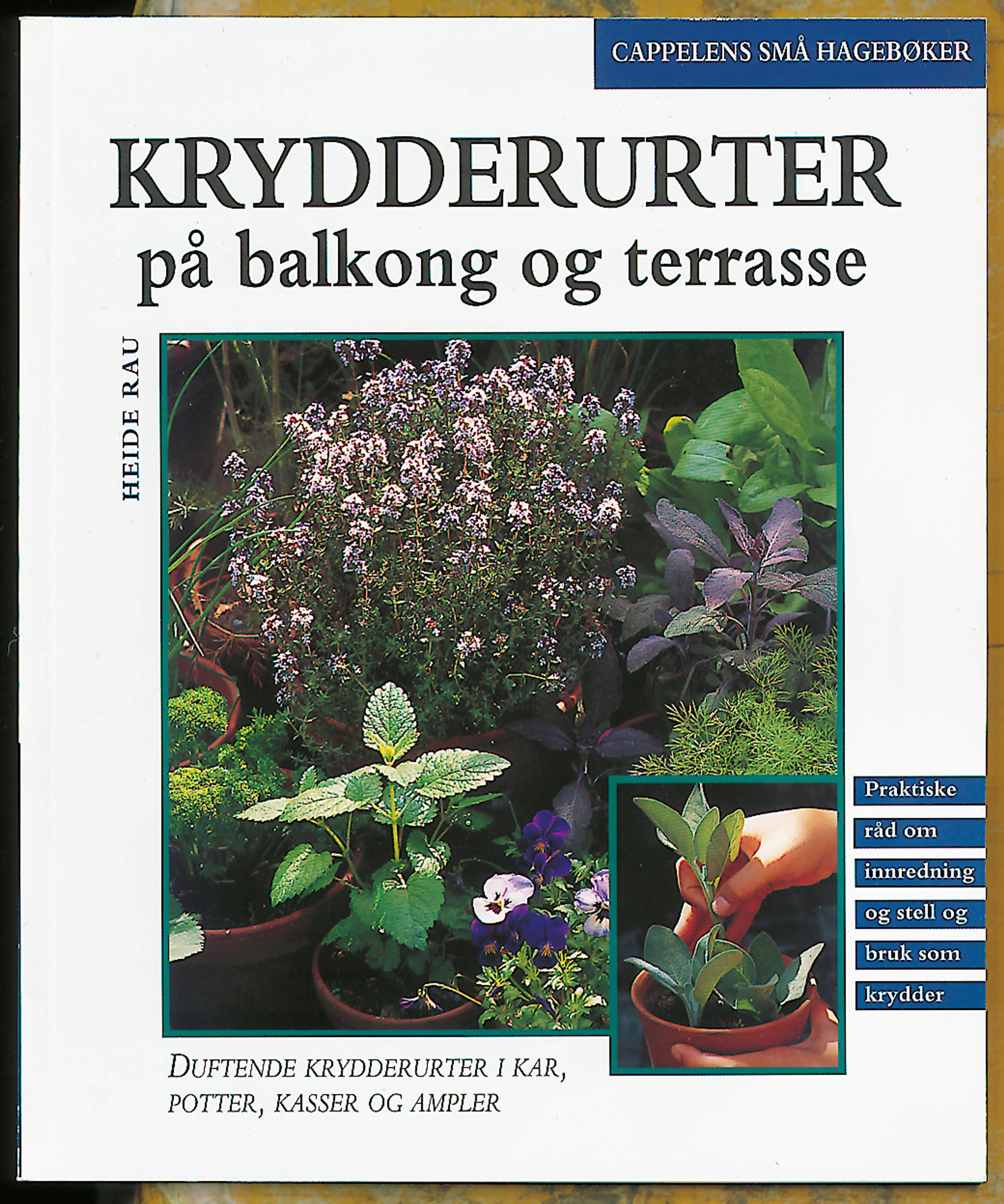 Omslag Krydderurter/Cappelens små hagebøker av Heide Rau (Heftet)