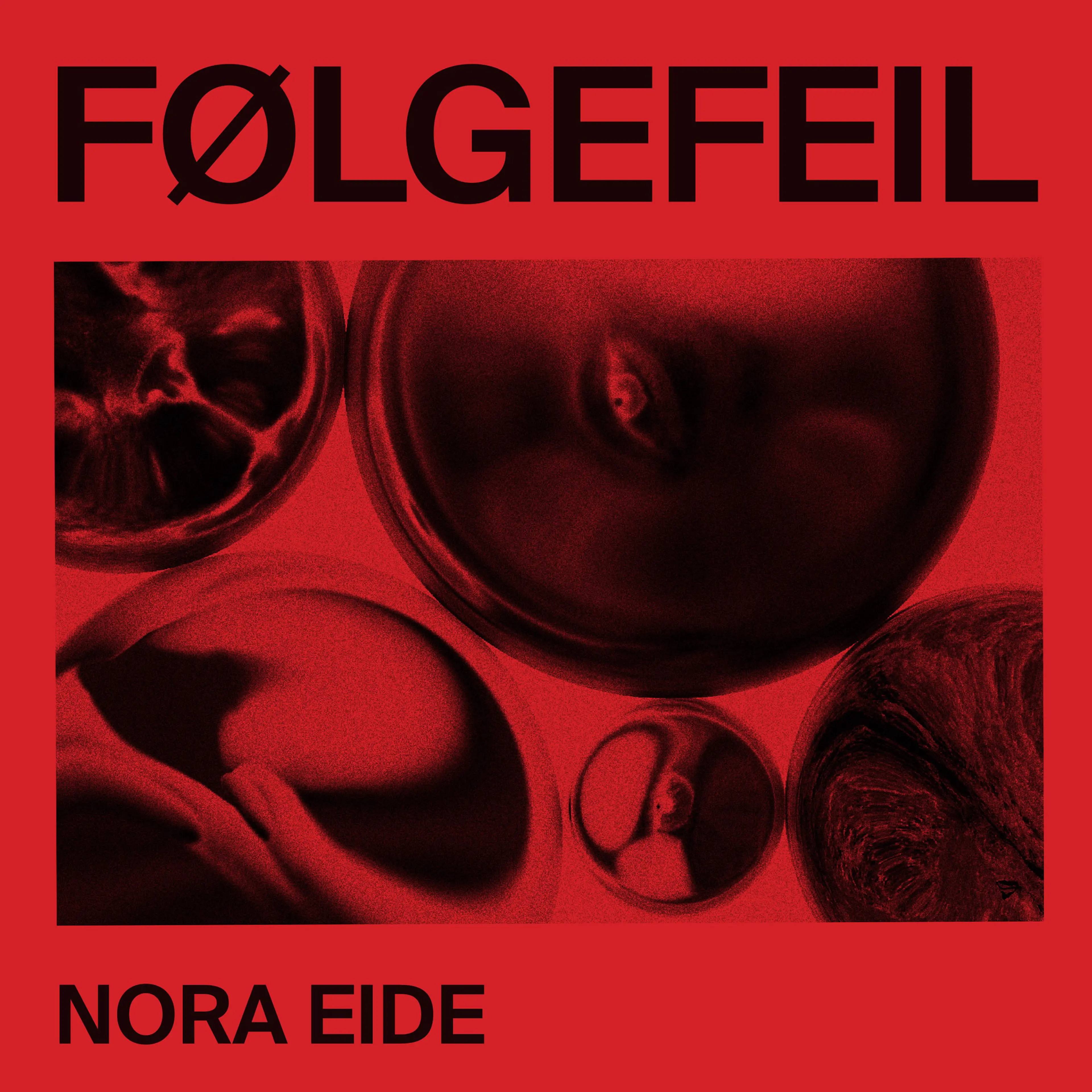 Omslag Følgefeil av Nora Kristina Eide (Lydbok)