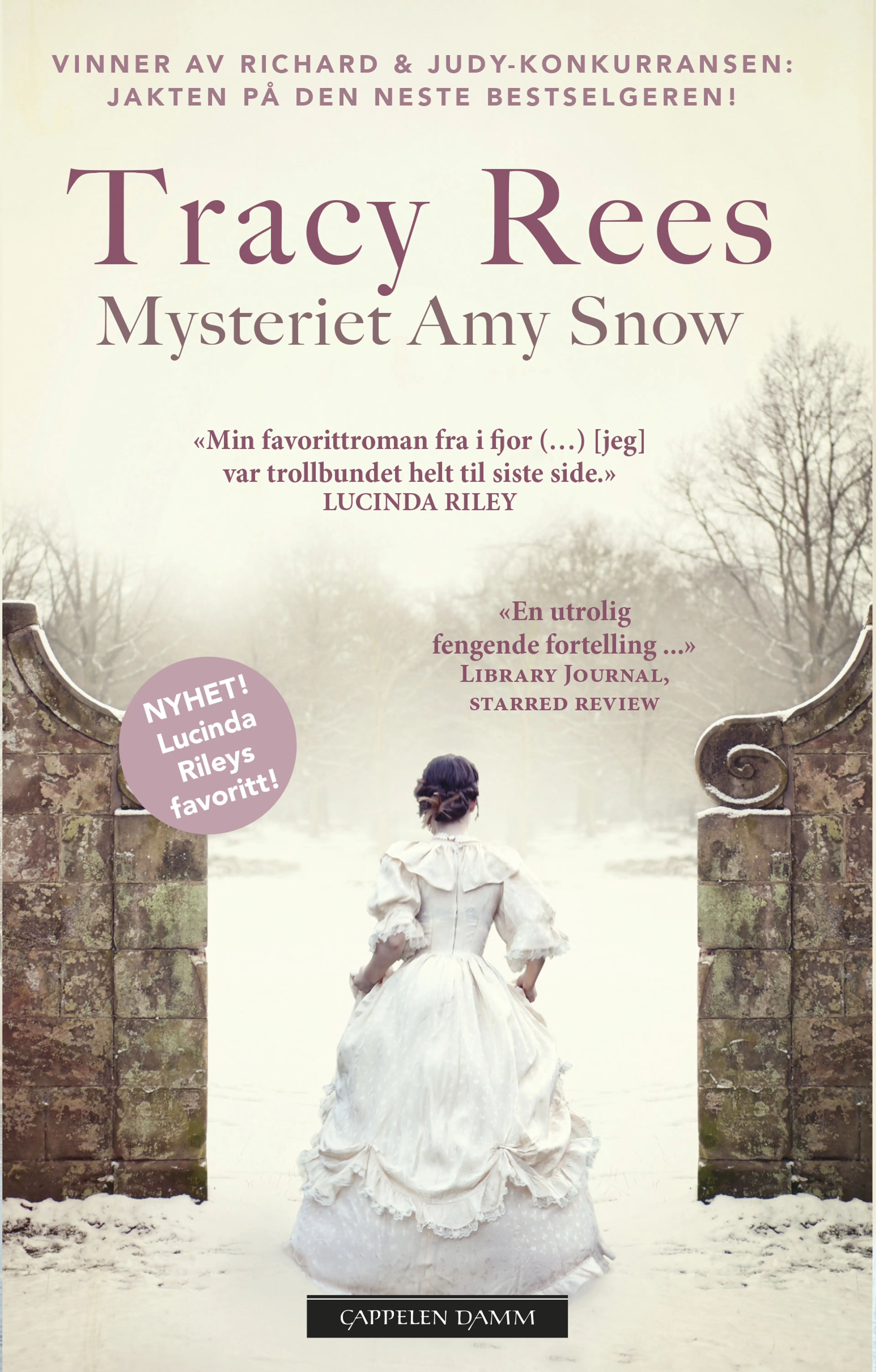 Omslag Mysteriet Amy Snow av Tracy Rees (Heftet)