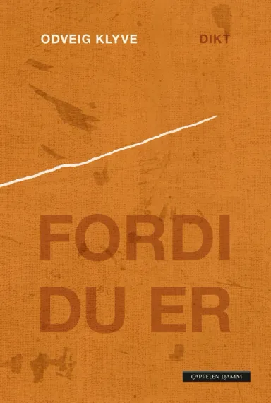 Omslag Fordi du er av Odveig Klyve (Ebok)