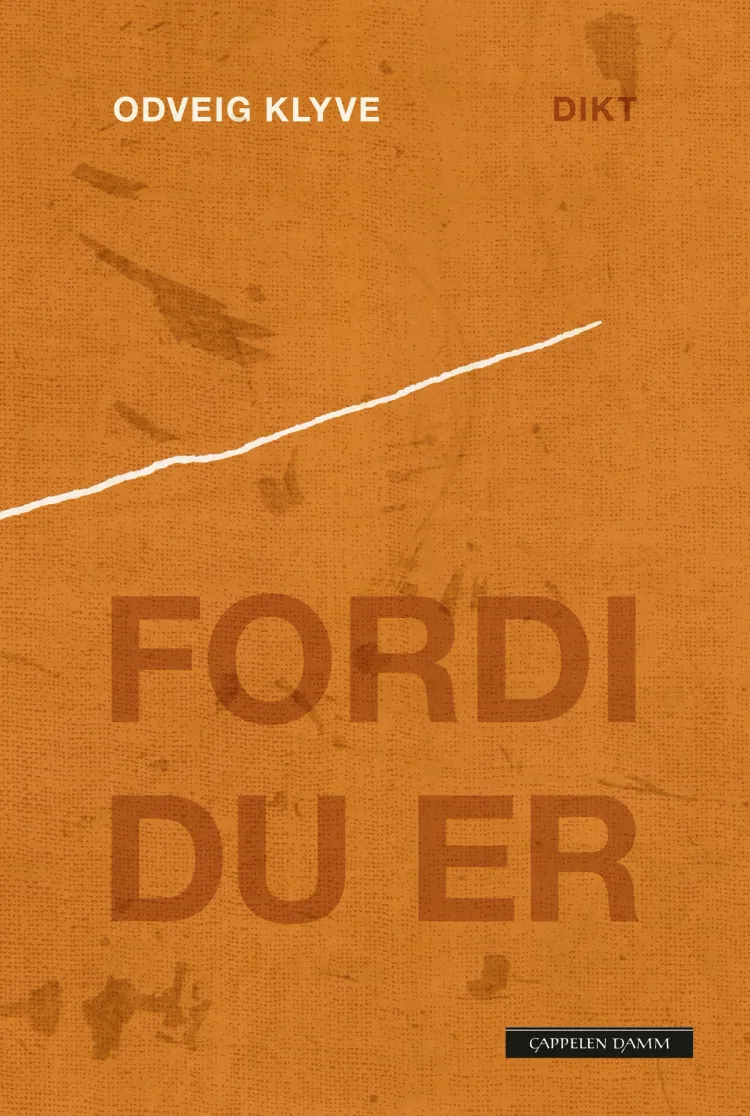 Omslag Fordi du er av Odveig Klyve (Ebok)