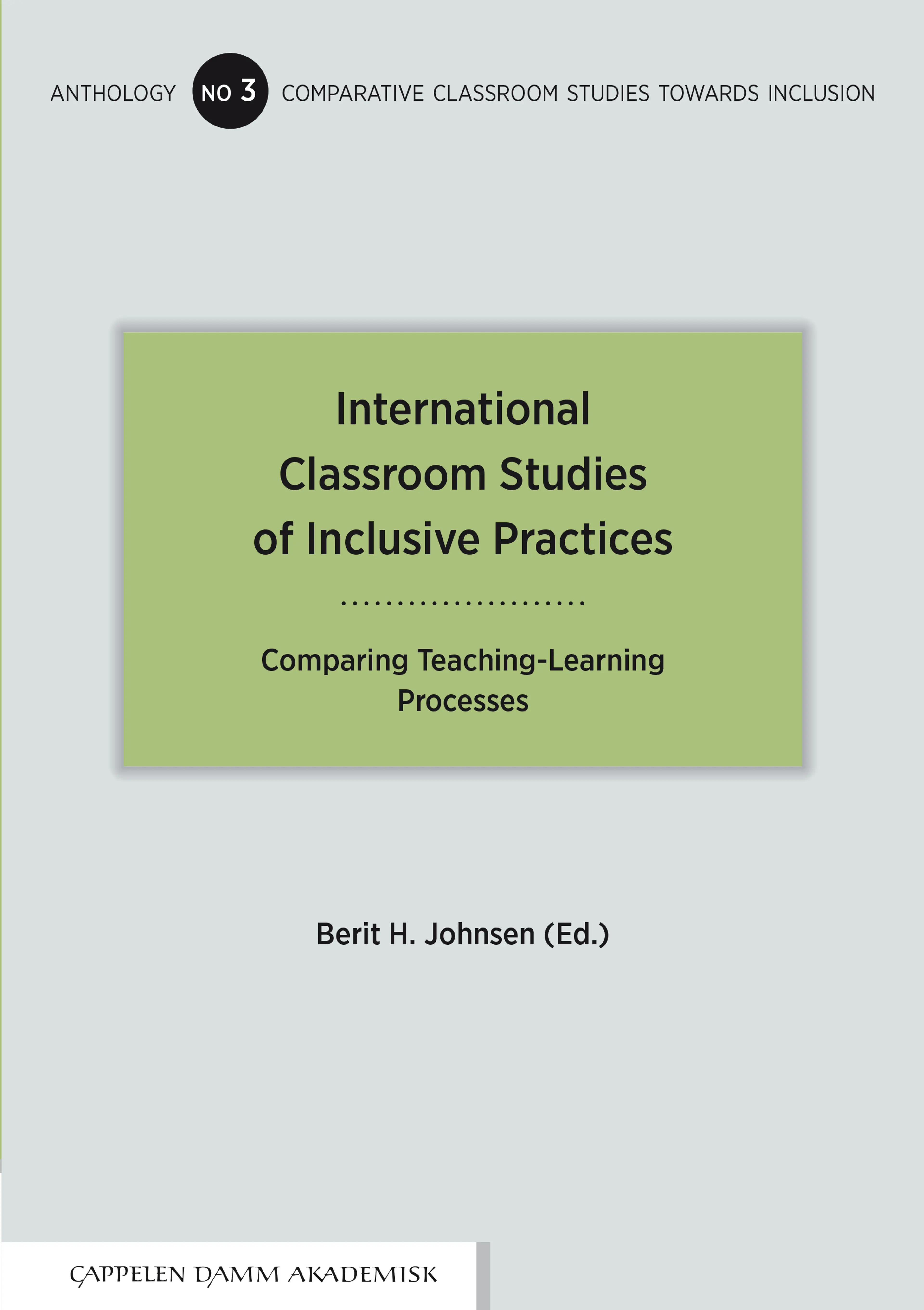 Omslag International Classroom Studies of Inclusive Practices av Berit H. Johnsen (Ed.) (Ebok)