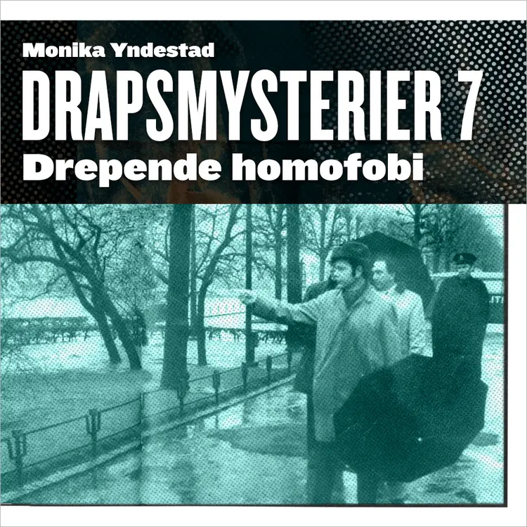 Omslag Drepende homofobi av Monika N. Yndestad (Lydbok)