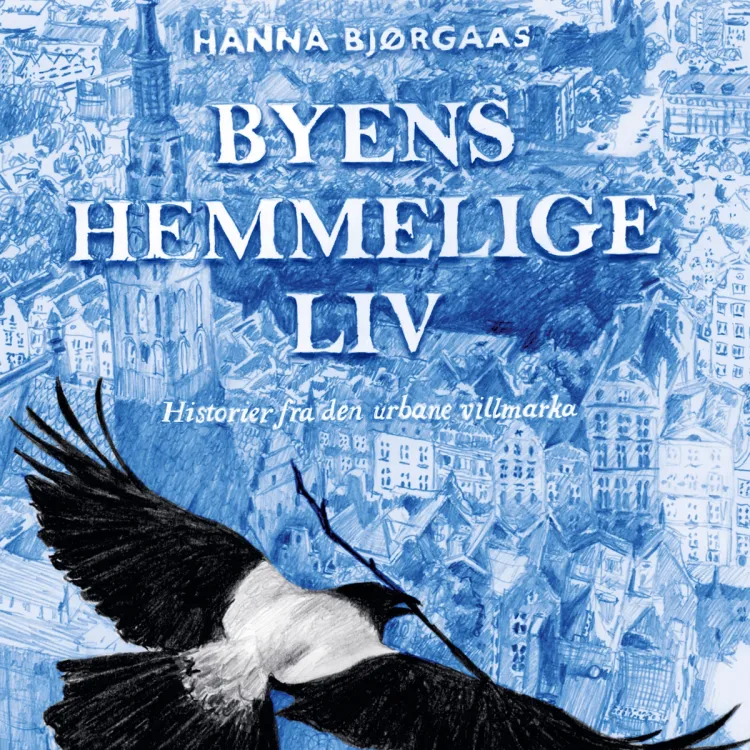 Omslag Byens hemmelige liv av Hanna Bjørgaas (Lydbok)