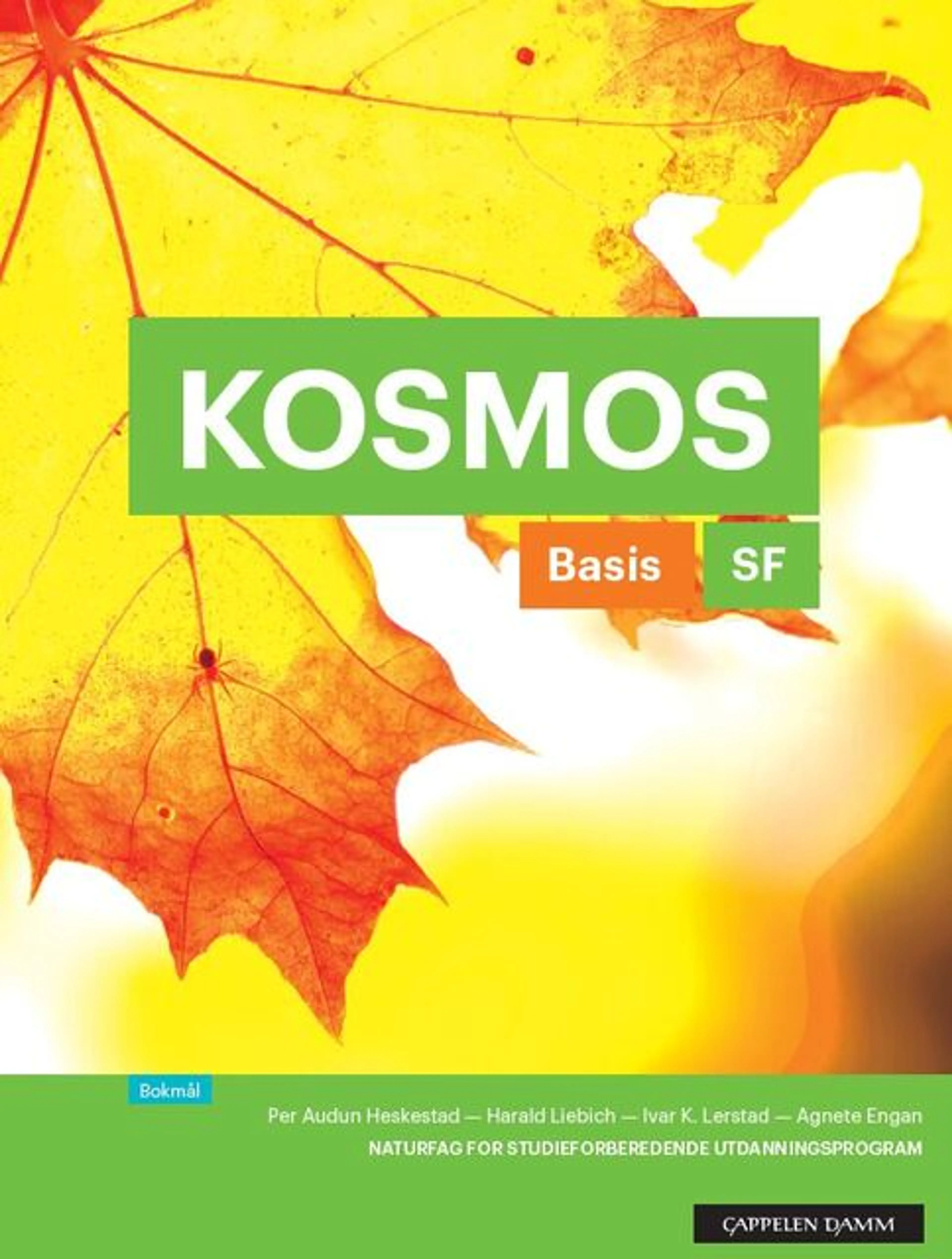 Omslag Kosmos SF Basis Arbeidsbok (2017) av Heskestad, Liebich, Engan, Lerstad og Mykland (Heftet)
