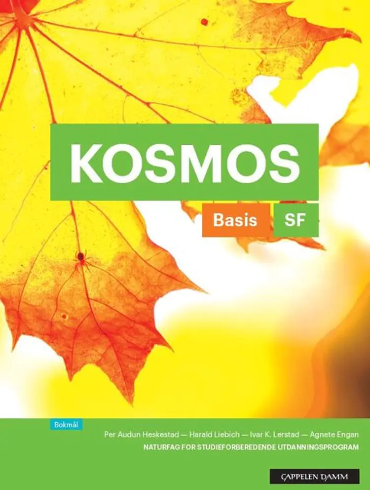 Omslag Kosmos SF Basis Arbeidsbok (2017) av Heskestad, Liebich, Engan, Lerstad og Mykland (Heftet)