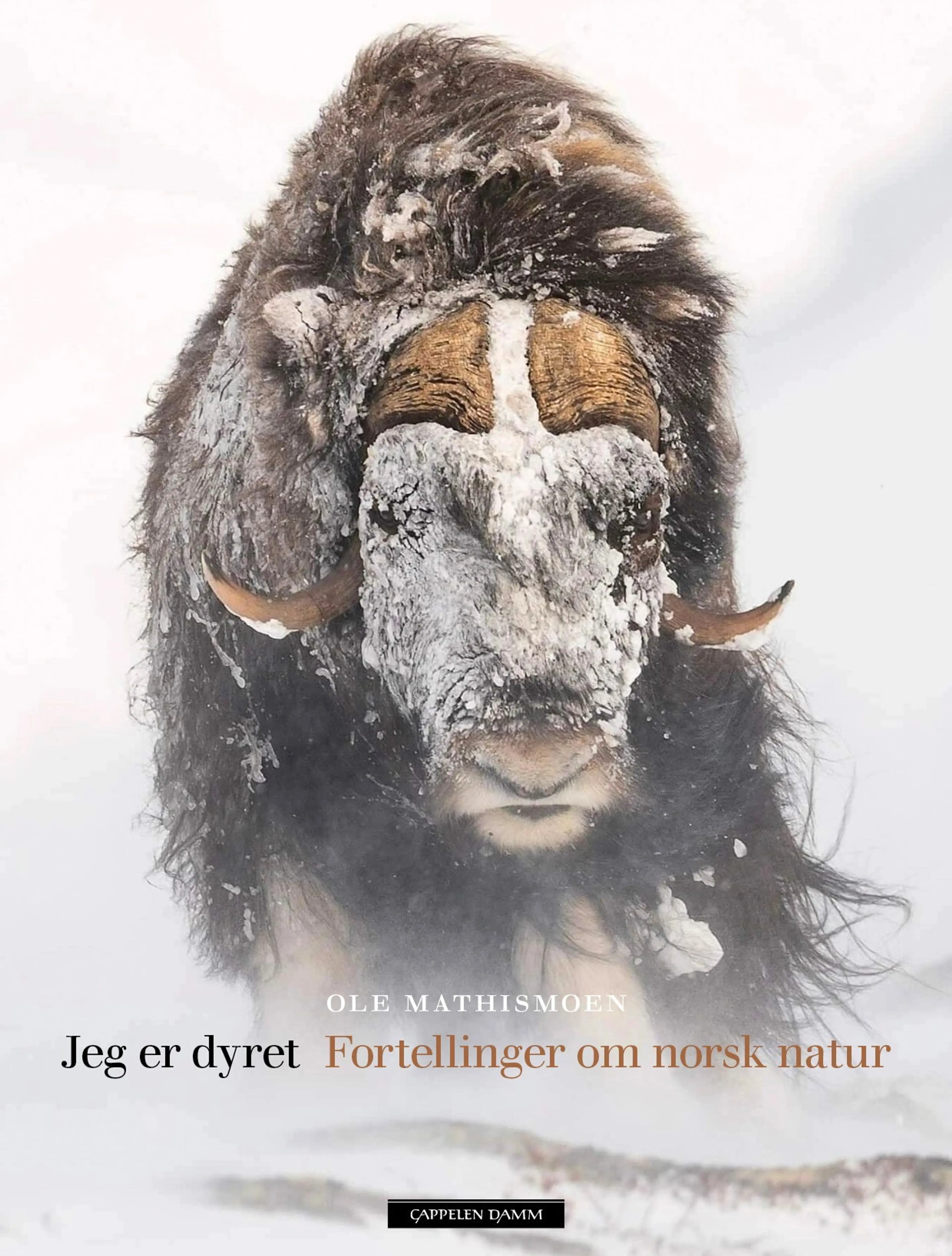 Omslag Jeg er dyret av Ole Mathismoen (Innbundet)