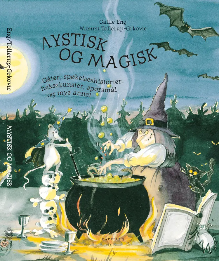 Omslag Mystisk og magisk av Gallie Eng (Innbundet)