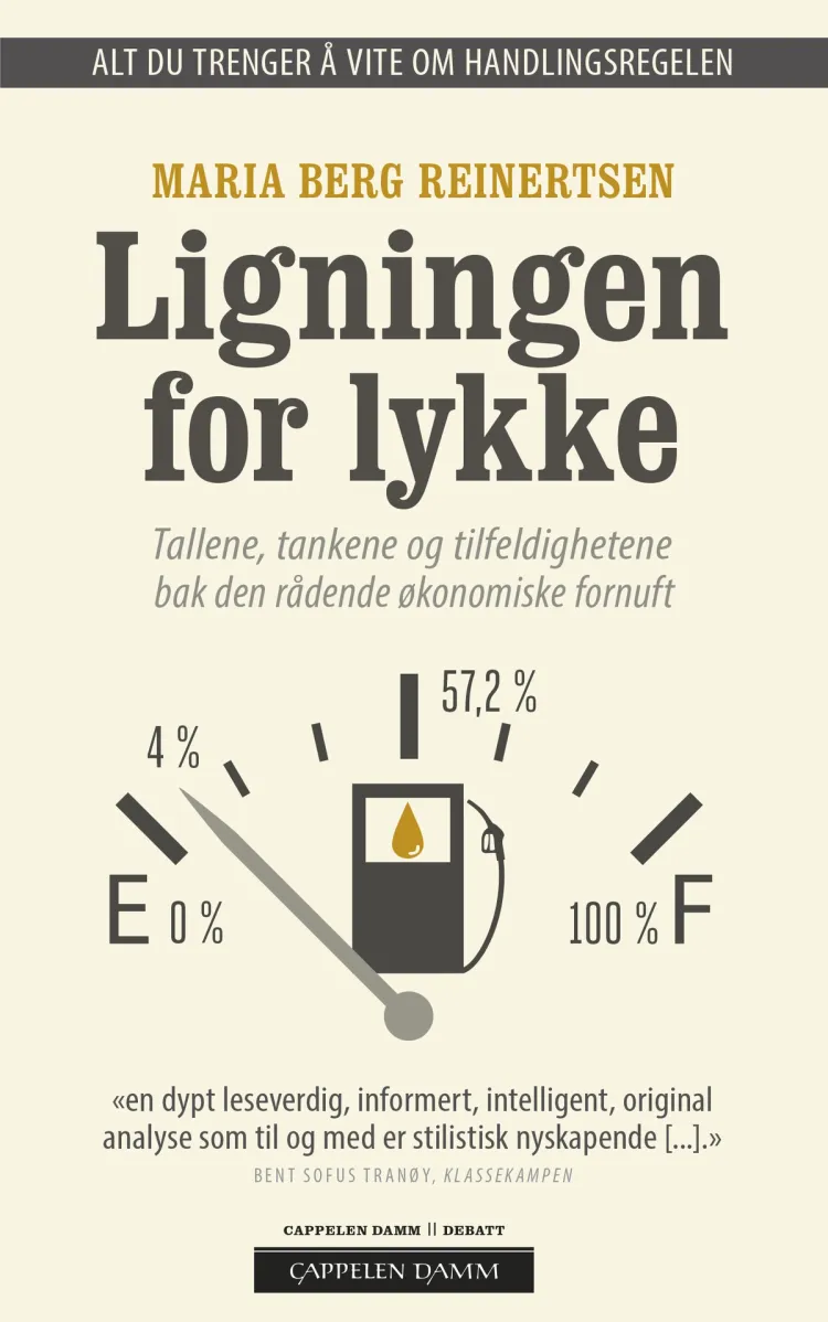 Omslag Ligningen for lykke av Maria Berg Reinertsen (Heftet)