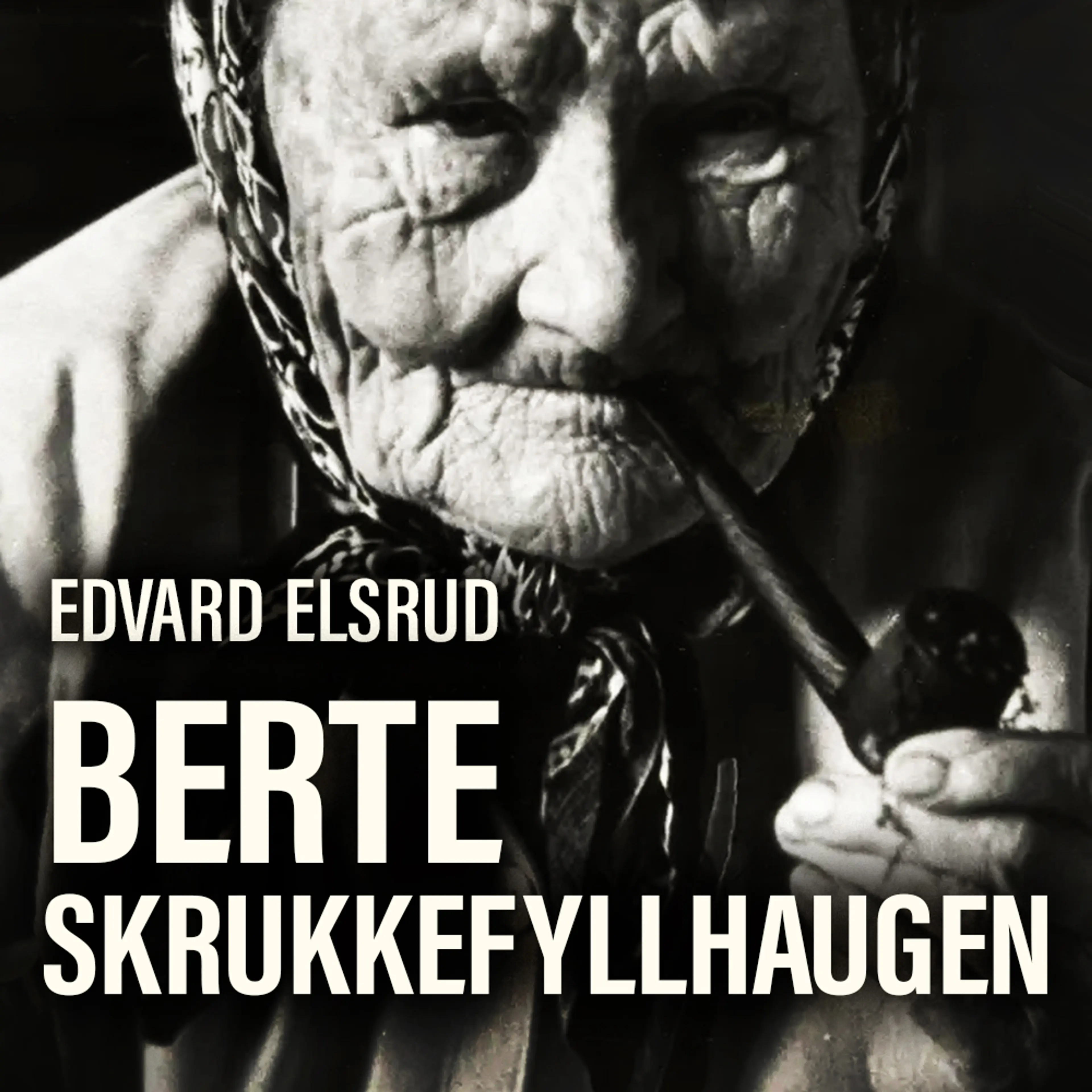 Omslag Berte Skrukkefyllhaugen - Boken om Vassfaret og de som bodde der av Edvard Elsrud (Lydbok)