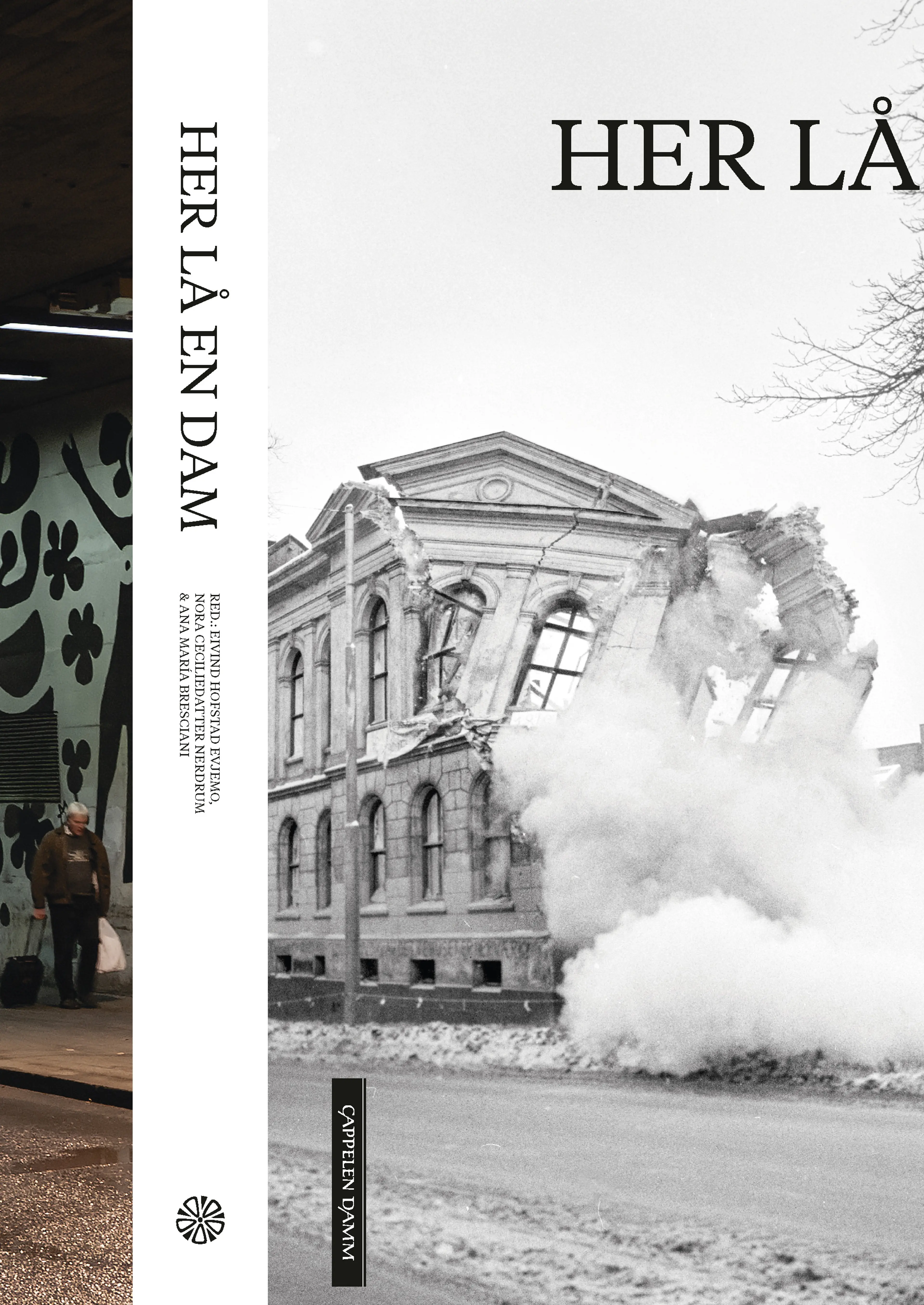 Omslag Her lå en dam av Eivind Hofstad Evjemo (red.) (Ebok)