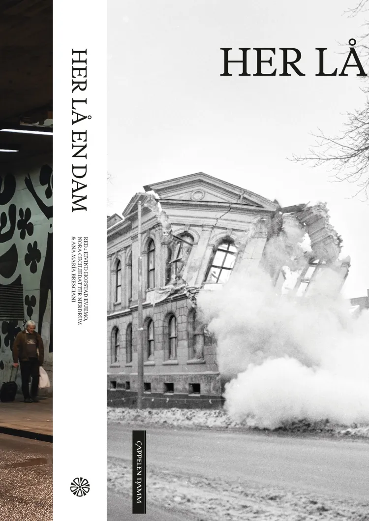 Omslag Her lå en dam av Eivind Hofstad Evjemo (red.) (Ebok)