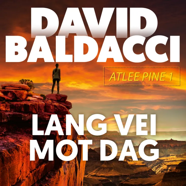 Omslag Lang vei mot dag av David Baldacci (Lydbok)