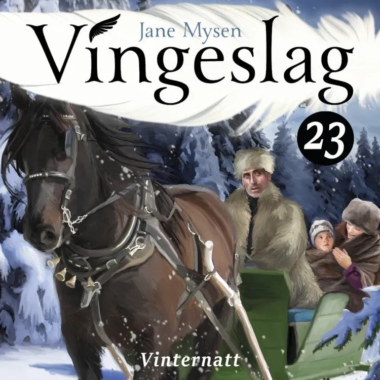 Omslag Vinternatt av Jane Mysen (Lydbok)