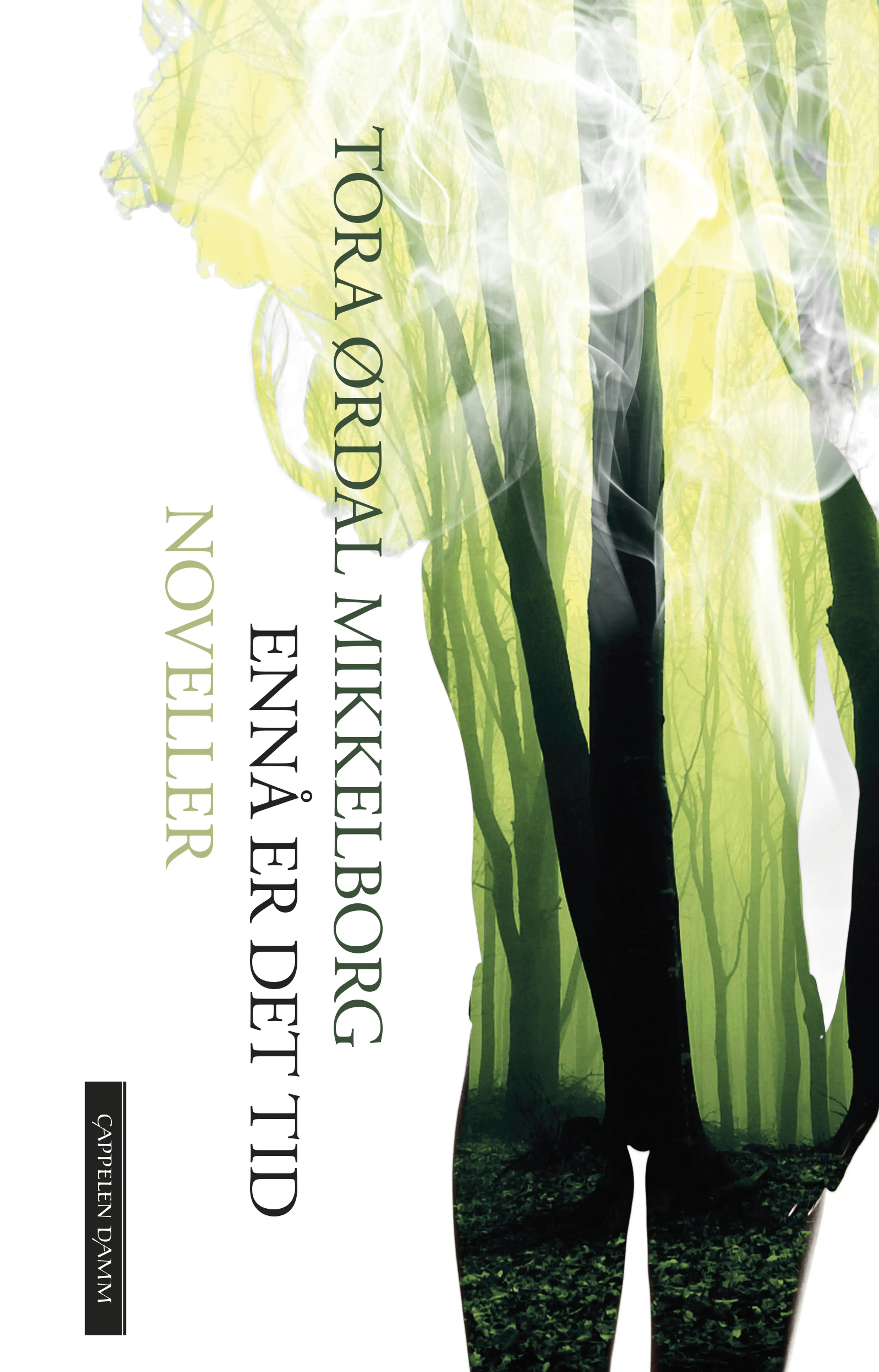 Omslag Ennå er det tid av Tora Ørdal Mikkelborg (Ebok)