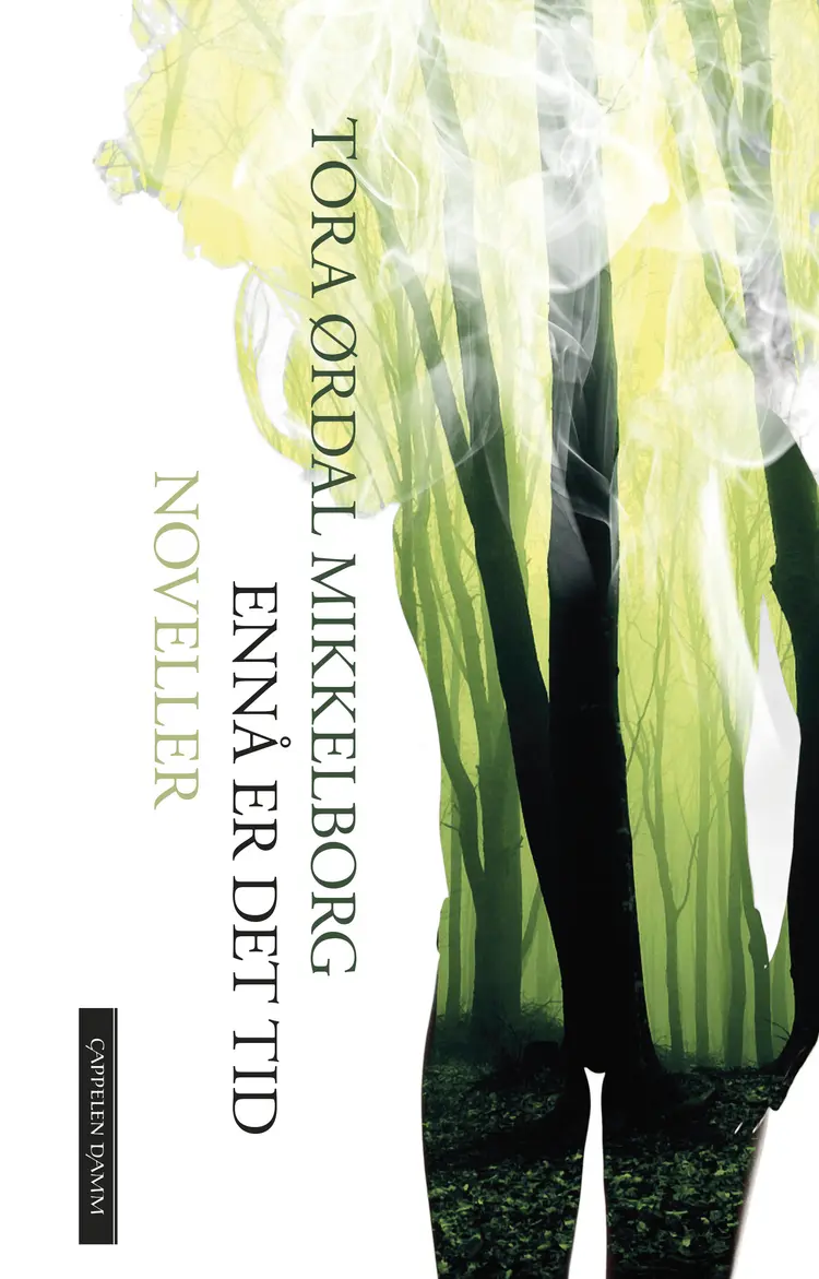 Omslag Ennå er det tid av Tora Ørdal Mikkelborg (Ebok)