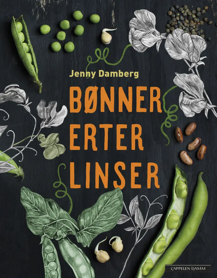 Omslag Bønner, erter og linser av Jenny Damberg (Innbundet)