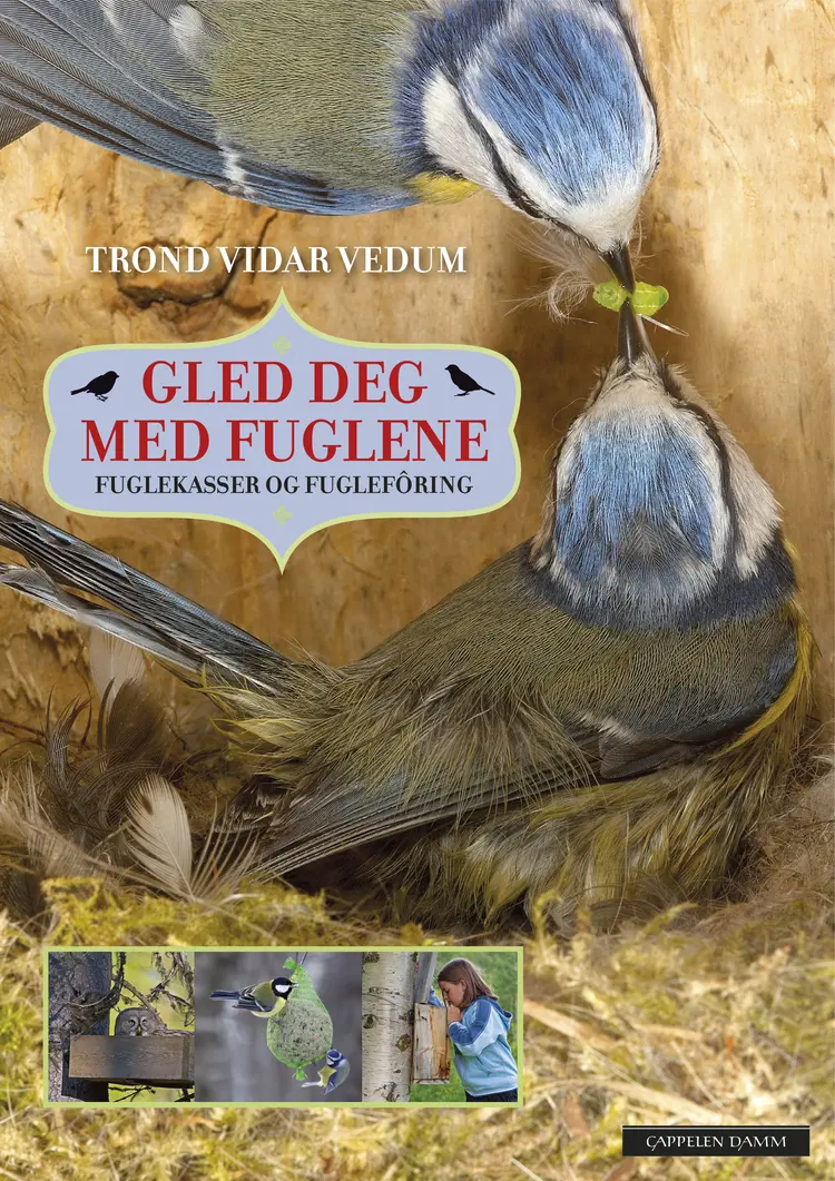 Omslag Gled deg med fuglene av Trond Vidar Vedum (Innbundet)