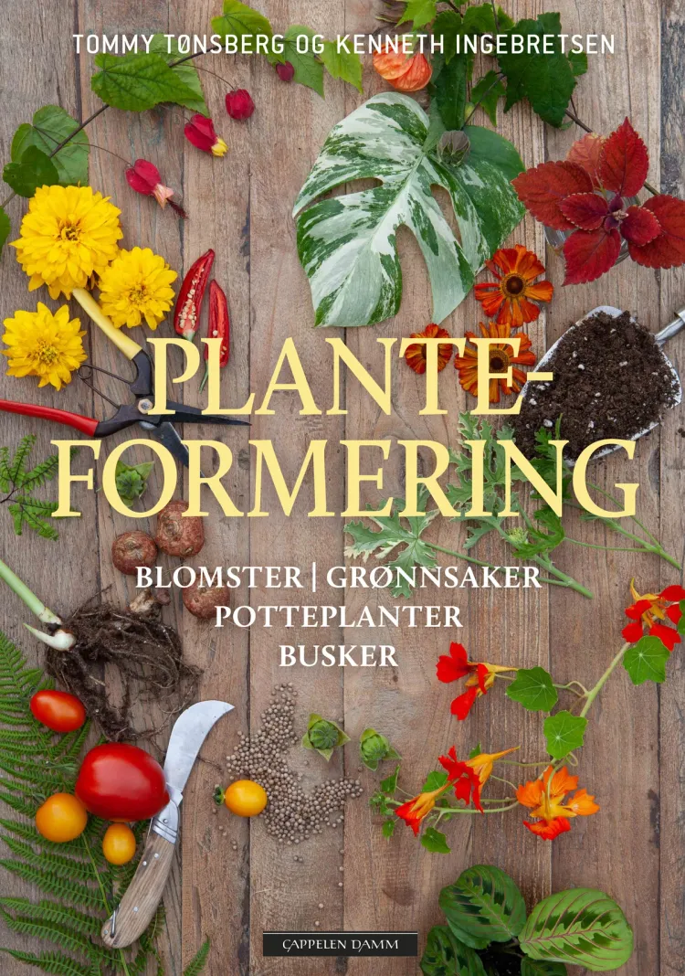 Omslag Planteformering av Kenneth Ingebretsen og Tommy Tønsberg (Innbundet)