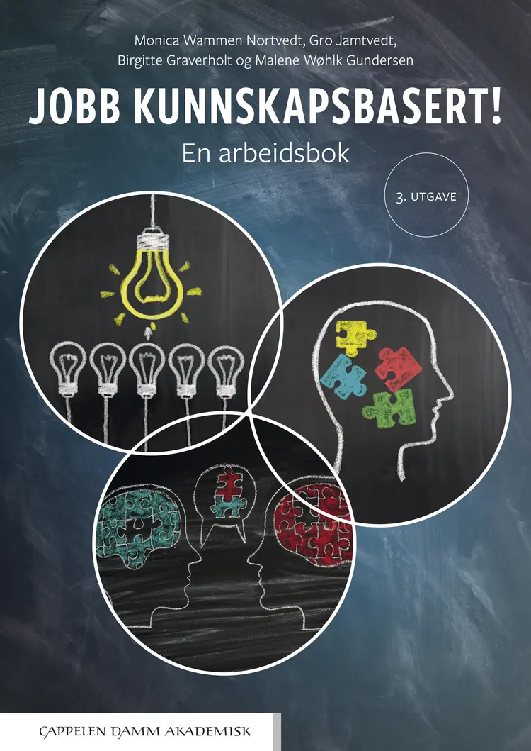 Omslag Jobb kunnskapsbasert! av Monica Wammen Nortvedt, Gro Jamtvedt, Birgitte Graverholt og Malene Wøhlk Gundersen (Heftet)