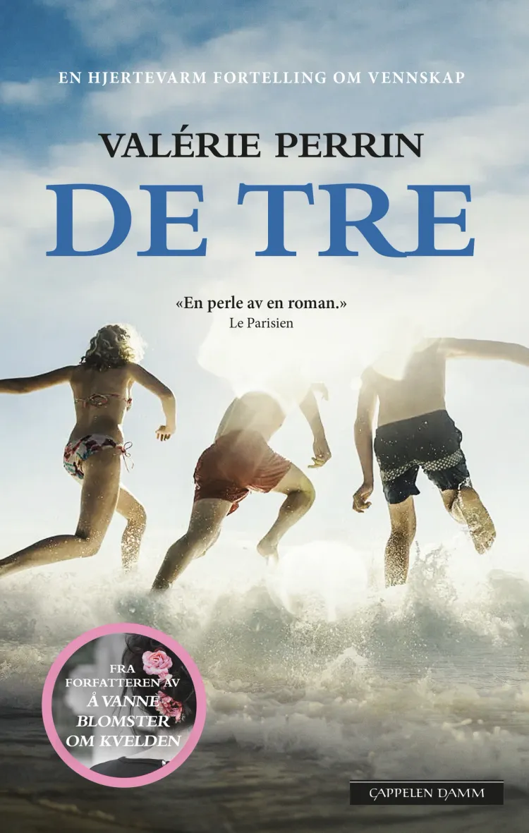 Omslag De tre av Valérie Perrin (Ebok)