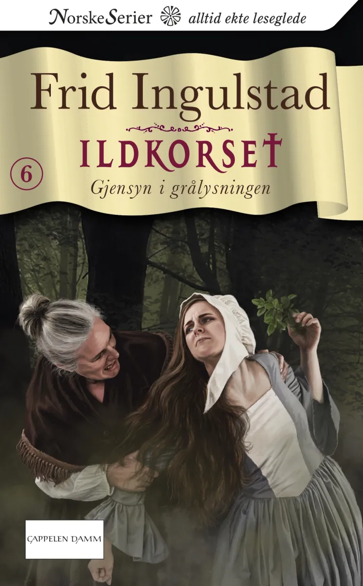 Omslag Gjensyn i grålysningen av Frid Ingulstad (Ebok)