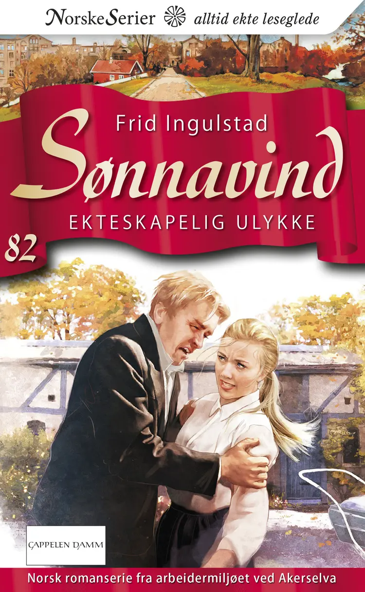 Omslag Ekteskapelig ulykke av Frid Ingulstad (Ebok)