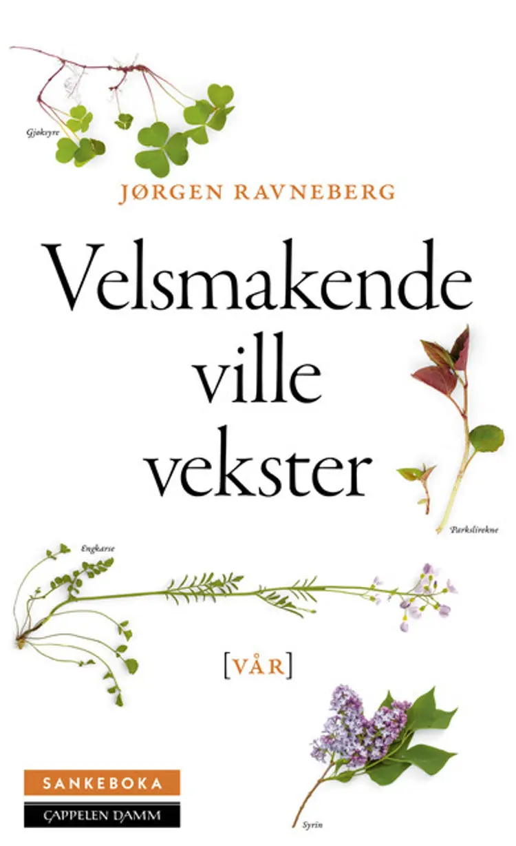 Omslag Sankeboka vår av Jørgen Ravneberg (Innbundet)
